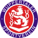 TEAM #4904 logo