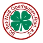TEAM #4960 logo