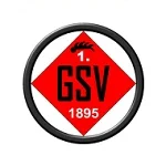 TEAM #5065 logo
