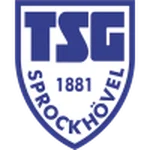 TEAM #5153 logo