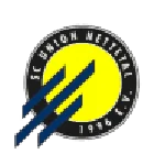 TEAM #5250 logo