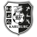TEAM #5369 logo