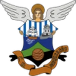 TEAM #5508 logo