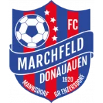 TEAM #571 logo