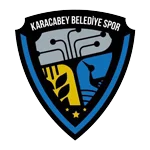 TEAM #581 logo