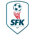TEAM #594 logo