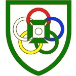 TEAM #6029 logo