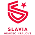 TEAM #6178 logo