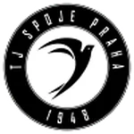 TEAM #6179 logo