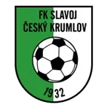 TEAM #6210 logo