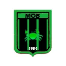 TEAM #6691 logo