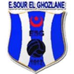 TEAM #6738 logo