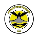 TEAM #7114 logo