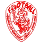 TEAM #7463 logo