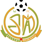 TEAM #8162 logo