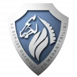 TEAM #8166 logo
