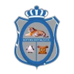 TEAM #8234 logo