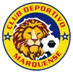 TEAM #8262 logo