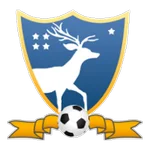 TEAM #8264 logo