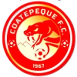 TEAM #8293 logo