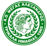 TEAM #8402 logo