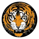 TEAM #8699 logo