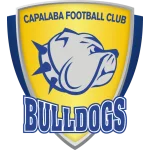 TEAM #8702 logo