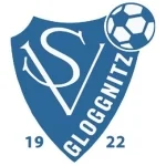 TEAM #8881 logo