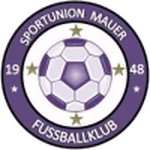 TEAM #8911 logo