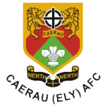TEAM #8988 logo