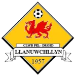 TEAM #9029 logo