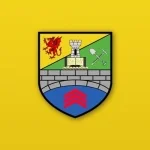 TEAM #9089 logo