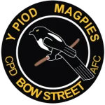 TEAM #9101 logo