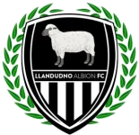 TEAM #9109 logo