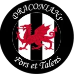 TEAM #9119 logo
