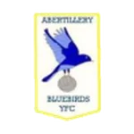 TEAM #9139 logo