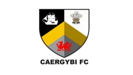 TEAM #9153 logo