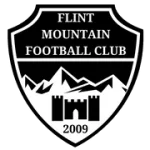 TEAM #9167 logo