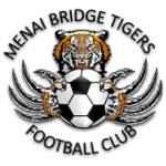 TEAM #9182 logo