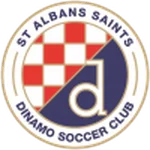 TEAM #9185 logo