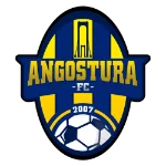 TEAM #9222 logo