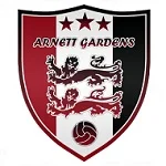TEAM #9311 logo