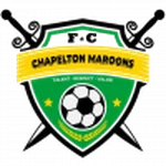 TEAM #9329 logo