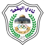 TEAM #9335 logo