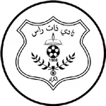 TEAM #9338 logo