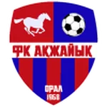 TEAM #9357 logo