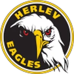 TEAM #9432 logo