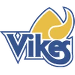 TEAM #9537 logo