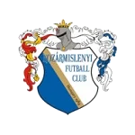TEAM #9591 logo