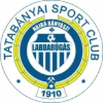 TEAM #9602 logo